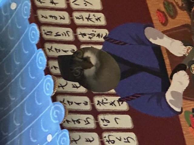 Cat 4